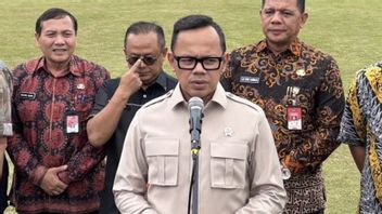 One Piece Phenomenon, Deputy Minister of Home Affairs: August 17th Will Be Fluttered with Red and White Flags