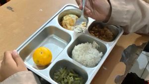 Soal Beras Segar 4 Bulan, BGN Komitmen Jaga Kualitas Beras dalam Program MBG