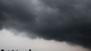 Prakiraan Cuaca BMKG: Lima Wilayah di DKI Bakal Dilanda Hujan pada Rabu 8 Desember