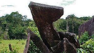 アマゾンストーンヘンジは雨林に古代文明の痕跡を明らかに