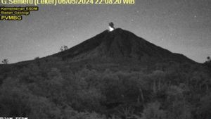Mount Semeru Erupts Again With An Eruption As High As 800 Meters