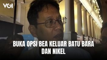 Pemerintah Buka Peluang Kenakan Bea Keluar pada Ekspor Batu Bara dan Nikel