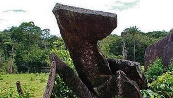 Stonehenge Amazon Ungkap Jejak Peradaban Kuno di Hutan Hujan