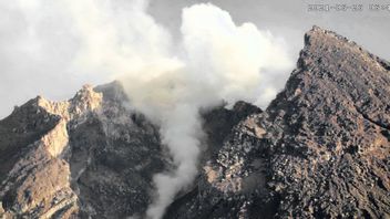 メラピ山は再び乱流、熱い雲と溶岩の落下は今日5回起動し、アラートステータス