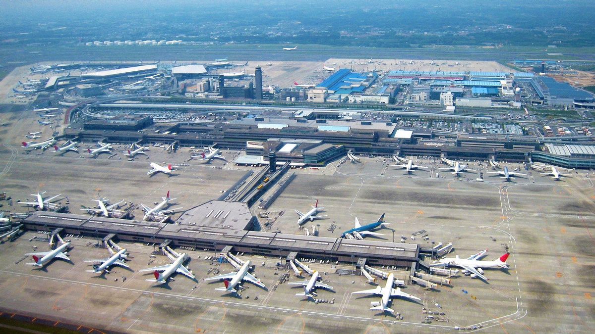Cegah Kura-kura 'Menyusup' ke Landasan Pacu, Bandara Narita Pasang Perangkap Jaring