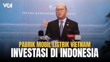 Rosan Roeslani: Vietnam Serius Ingin Bangun Pabrik Mobil Listrik di Indonesia