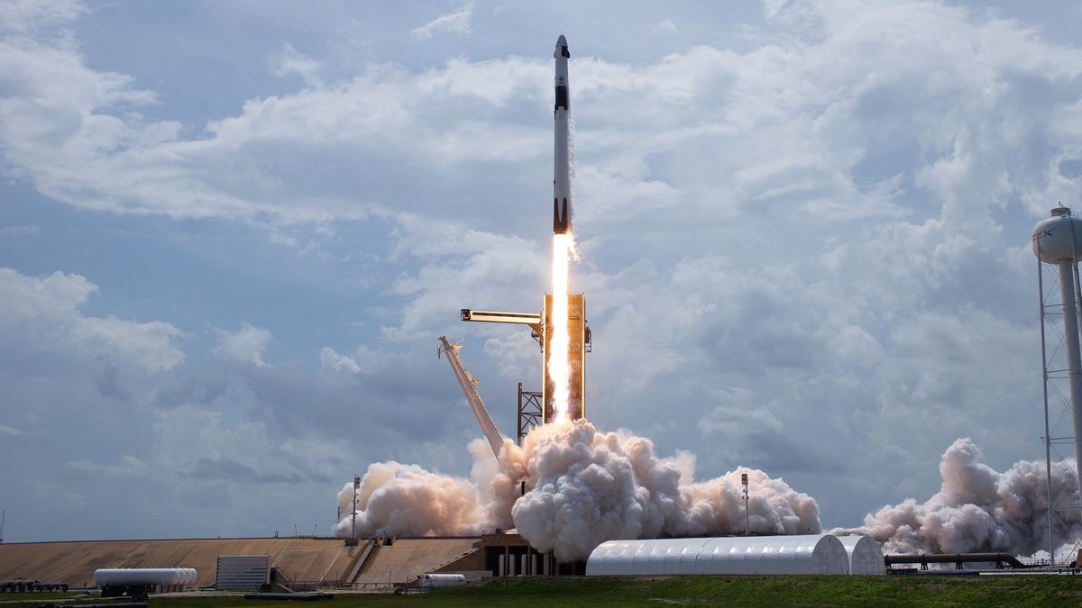 Gara-Gara Kritik Elon Musk, Lima Karyawan SpaceX Dipecat!