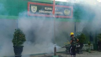 75 Samarinda Residents Have Been Infected With Dengue Fever, Legislators Urge The Health Office To Take Actions Quickly