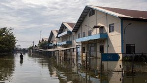 Imbas Diterjang Banjir Rob, Wali Kota Minta Perusahaan di Pesisir Semarang Perkuat Tembok Laut
