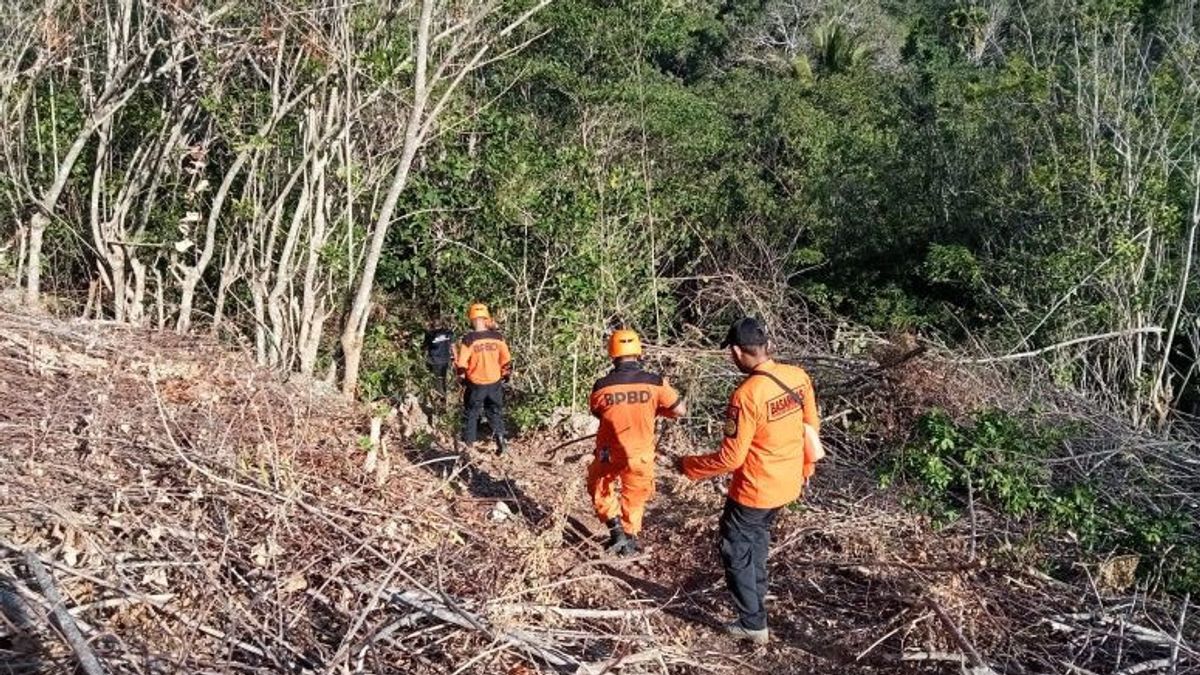 搜救队正在寻找南布顿森林中失踪的女子