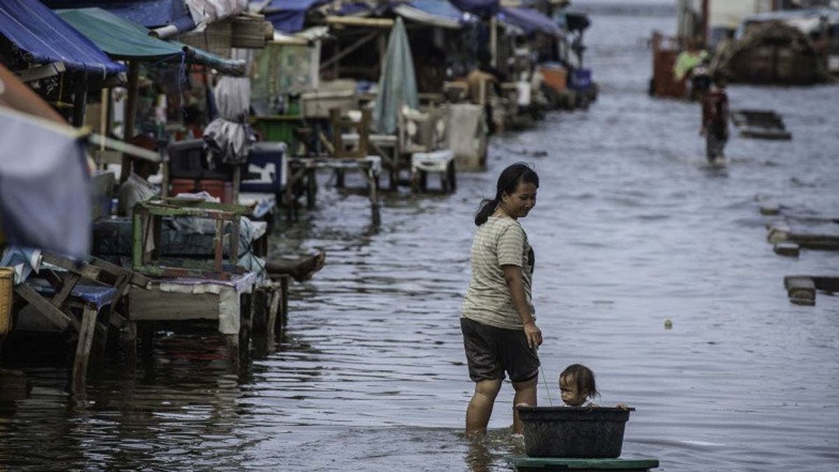 DKI BPBD: Fish Market Floodgate Alert One, Beware Of Rob Potential In Jakarta Area