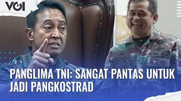 VIDEO: Maruli Simanjuntak, Mantu Luhut Pandjaitan Becomes Commander Of Kostrad, This Is What TNI Commander Andika Perkasa Said