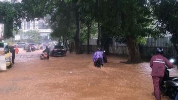 大雨，雅加达南部几个地区被洪水淹没 