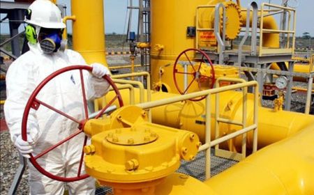 Tingkatkan Pemakaian Gas Domestik, Kementerian ESDM Jor-joran Bangun Infrastruktur Energi