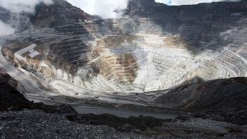 What Is The Concentrat Of Copper And Its Development In Indonesia, Was Banned From Exporting