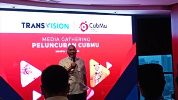 Transvision推出CubMu，一种价格合理的新流媒体服务