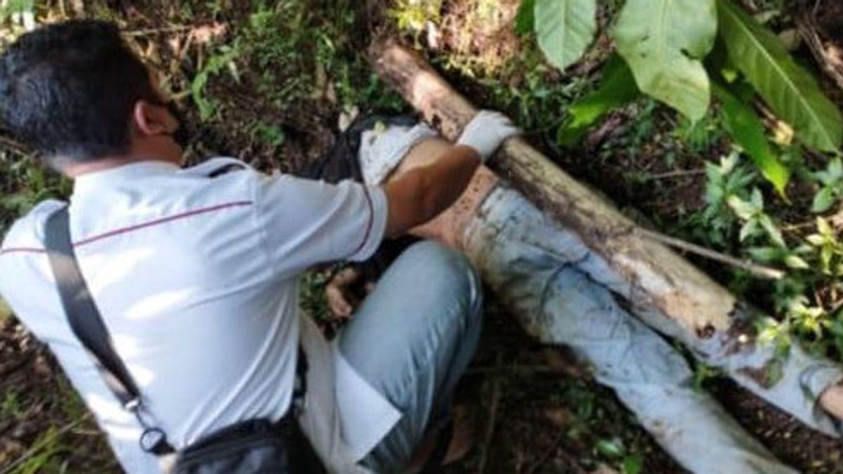 Bocah 15 Tahun Bunuh Temannya di Kebun Kopi Pakai Celurit, Pelaku Jebak Korban Ajak Fotocopy Tugas Sekolah