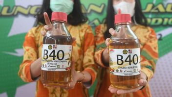 Affected By Efficiency, Ministry Of Energy And Mineral Resources Admits Implementation Of B40 Is Also Blocked