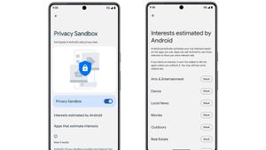 Beta Pertama Privacy Sandbox untuk Android Akan Segera Dirilis Google