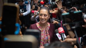 シェインバウム大統領は、メキシコ当局が美容インフルエンサーの殺害を明らかにしたことを確認
