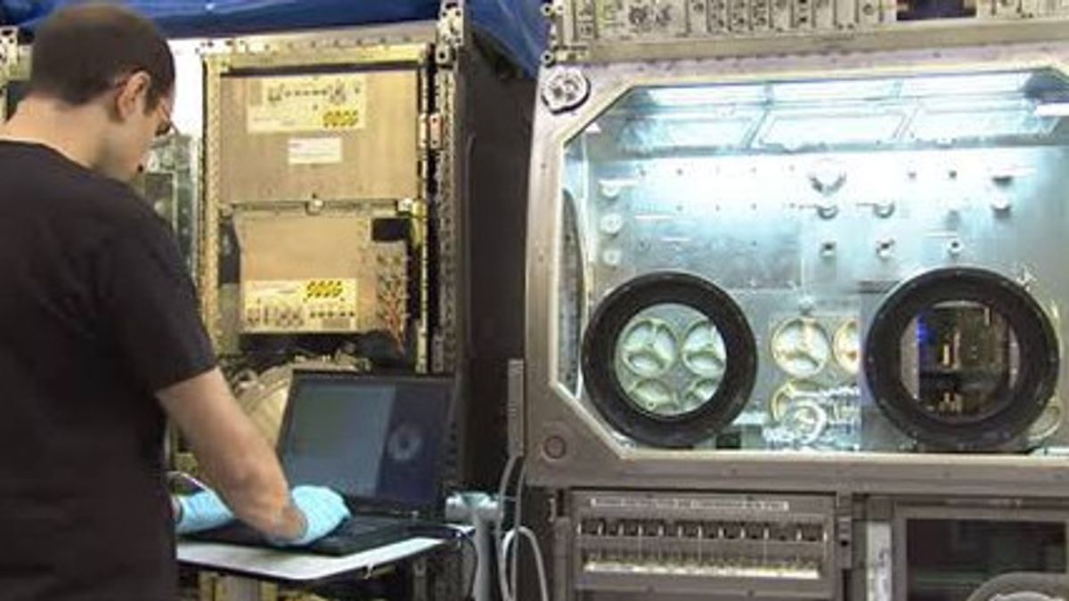  美国宇航局博永3D打印机到ISS打印月球材料