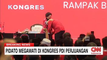Megawati Cries When She Meets Hasto At The PDIP Congress
