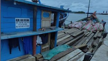 林业部与印尼国家木材管理局合作，在巴淡岛查获443根非法加工原木