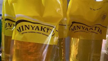 MinyaKita迷失，Lampung Tanggamus社区选择使用黄蜂油