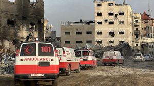 WHO: War In Gaza Impacts The Health System Of Neighboring Countries
