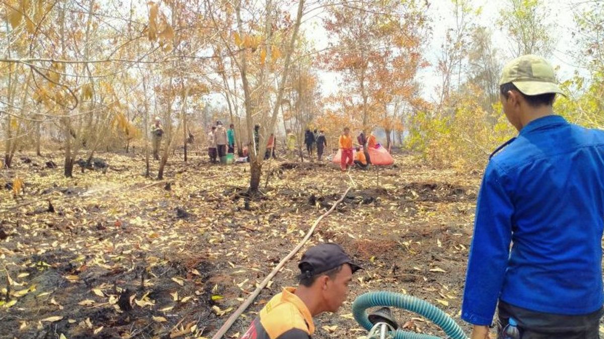 BMKGは住民に中央カリマンタンの森林火災や土地火災の可能性に注意するよう求めている