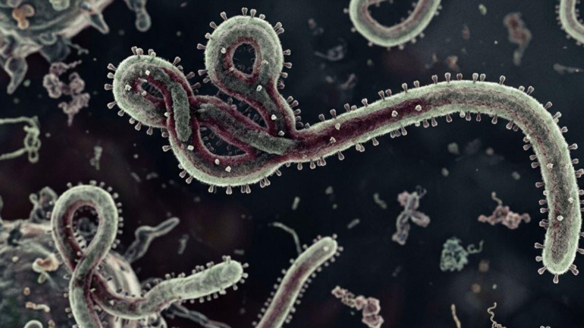 The Ministry of Health ensures that no Ebola cases have been found in Indonesia.