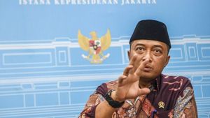 Istana: Tidak Ada Razia Pengibaran Bendera One Piece