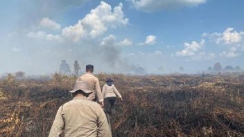 4日間の燃焼、ロカンHuluの20ヘクタールの森林火災と土地火災が首尾よく消火されました