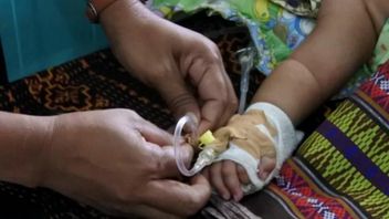 حمى الضنك في شرق فلوريس، شرق نوسا تينغارا يزيد إلى 34 حالة، المرضى الذين عولجوا في عدد من المراكز الصحية