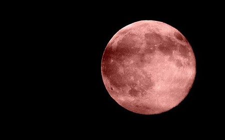 Apa Itu Strawberry Moon? Ini Pengertian, Bedanya dengan Purnama Lain, Serta Jadwalnya