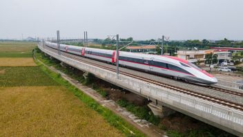 Terhubung dengan KA Feeder, Perjalanan dari Stasiun Kereta Cepat Halim menuju Bandung Hanya 50 Menit