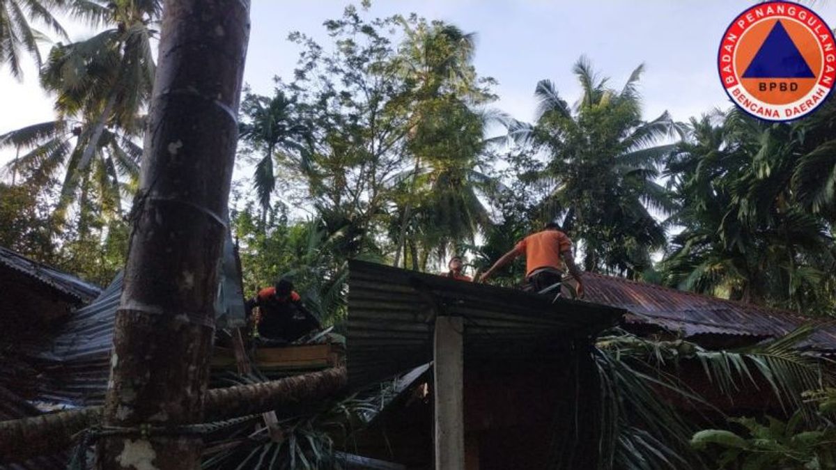 パダンパリマンの住民の強風と家屋の損傷により3本の木が倒れました
