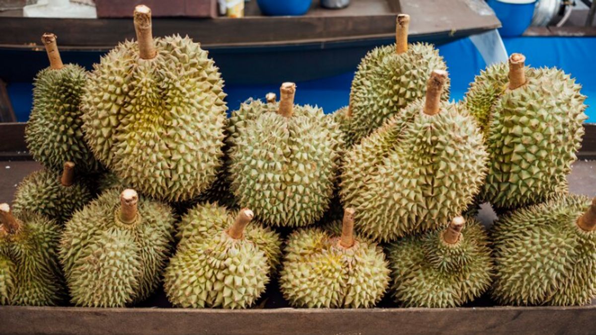 6 Tips Menghilangkan Bau setelah Makan Durian Biar Nggak Menyengat Hidung