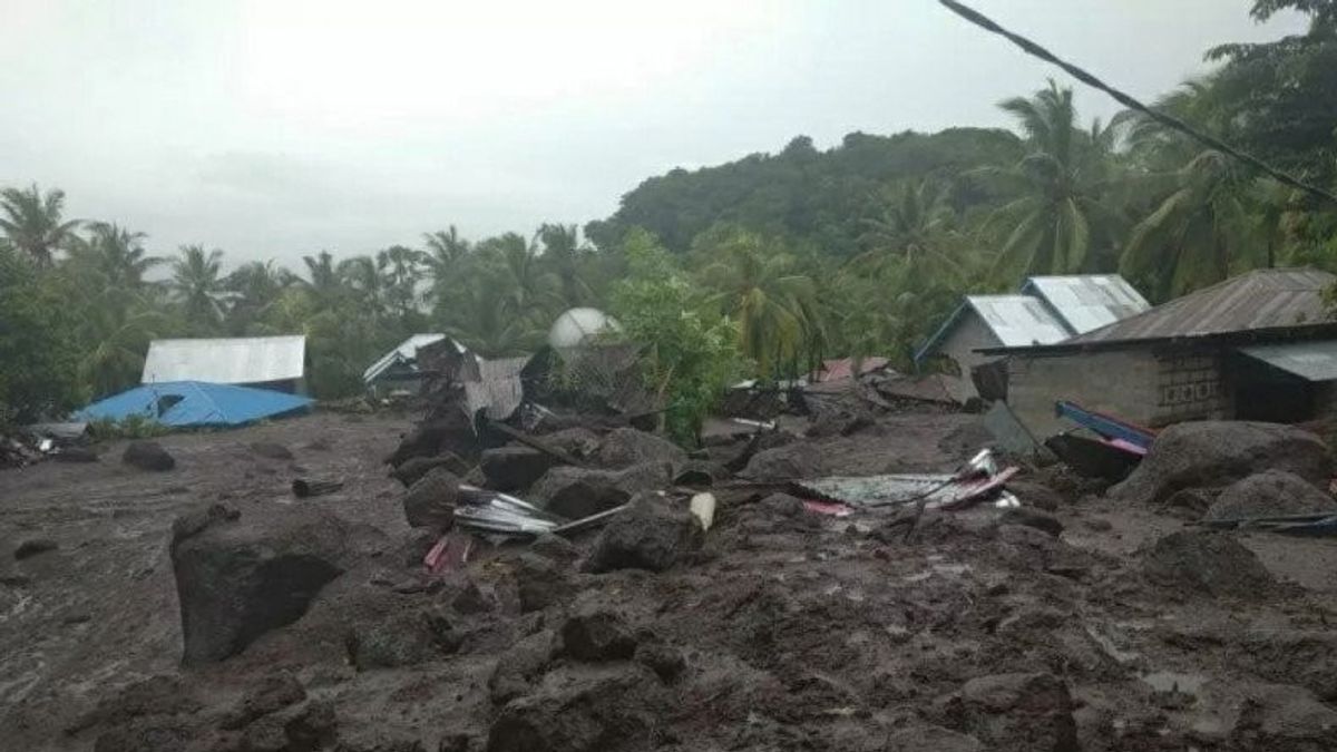 NTT洪水に関するBNPBの責任者:国家災害状況を決定する必要はありません