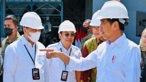 Jokowi Minta Perum Bulog Serap Gabah Petani Sebanyak-banyaknya