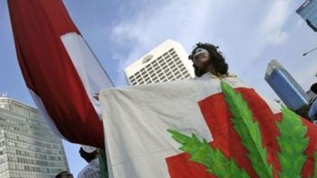 The House Of Representatives' Quick Response Responds To Calls For Legalization Of Medical Cannabis, But Patience All Needs Study