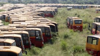 21辆公共汽车只剩下座位，直到Velg，雅加达对DKI运输局的责任