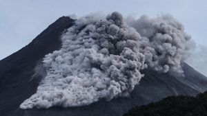 Gunung Merapi Muntahkan Guguran Lava 39 Kali Sejauh 1.600 Meter