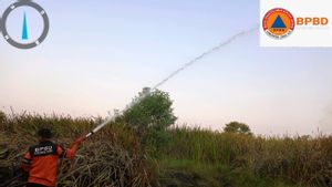 Lahan 7 Hektar Terbakar di Ogan Ilir Sumsel Telah Padam, Polisi Lakukan Penyelidikan
