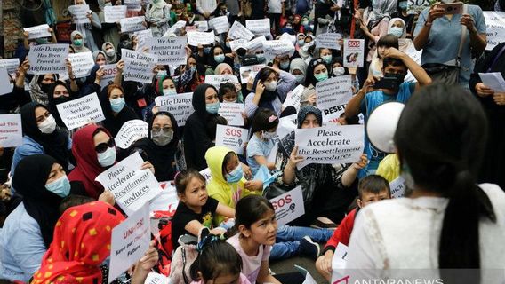 No Longer Serious About The Fate Of Refugees, MUI Asks UHCR Not To Bother Urging This To Indonesia