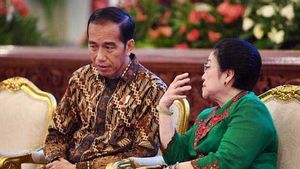 Jokowi dan Megawati Dianggap Penentu Capres Koalisi Besar