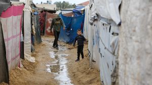 Bayi Usia 2 Minggu Hipotermia Meninggal di Gaza yang Dilanda Musim Dingin