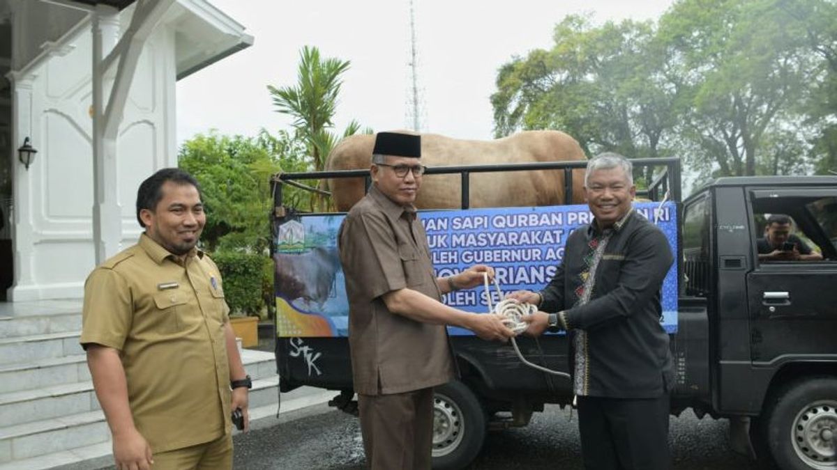 Di Aceh Tengah, Presiden Jokowi Kurban Sapi Berbobot 874 Kg