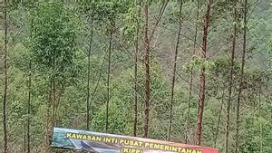 Pembangunan Sarana Air Bersih IKN Nusantara Terus Berjalan