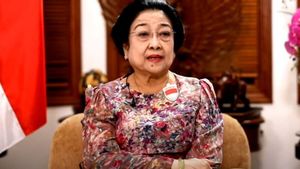 Megawati Dapat Gelar Profesor dari Universitas Pertahanan, Pengamat: Moral Akademisi Bisa-bisa Melorot
